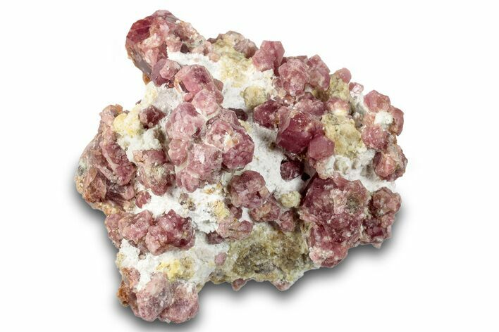 Raspberry Garnets (Rosolite) in Matrix - Mexico #264646